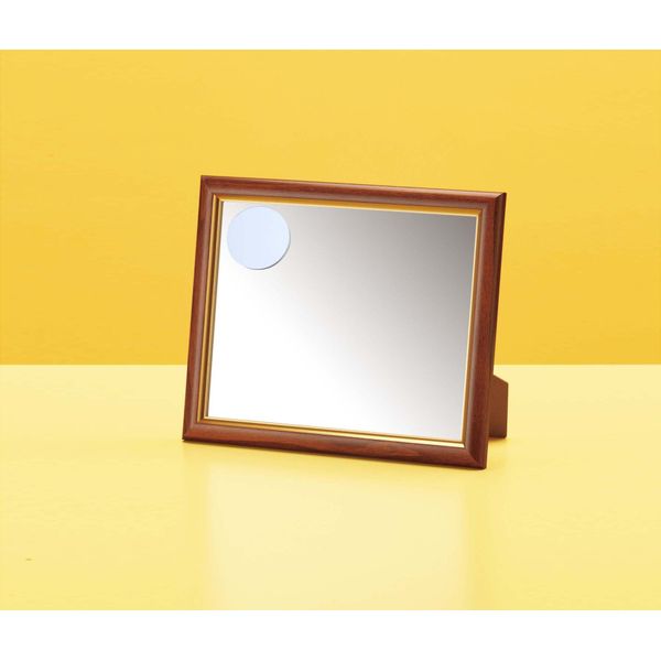 10564 Magnifier with Tabletop Mirror