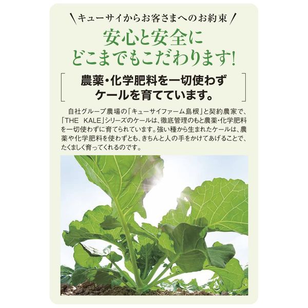 Kyusai Green Juice Kale Powder Type 0.2 oz (7 g) x 30 Bottles / Box 6 Boxes