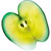 Garnier Fructis Grow Strong Conditioner, 33.8 Fl Oz, 1 Count (Packaging May Vary)