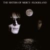 Floodland [VINYL]