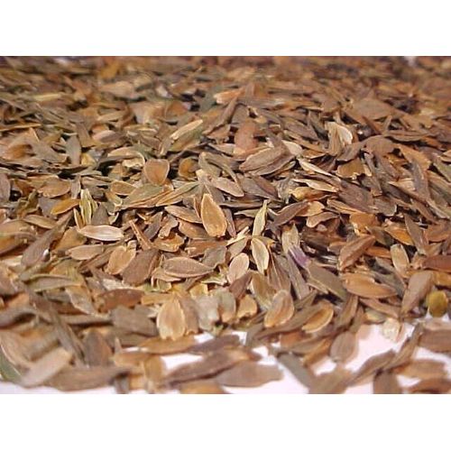 1/2 OZ SEED  CALIFORNIA ZINNA ZINNIA FLOWER SEED MULITCOLOR OLD FASHION FAVORITE