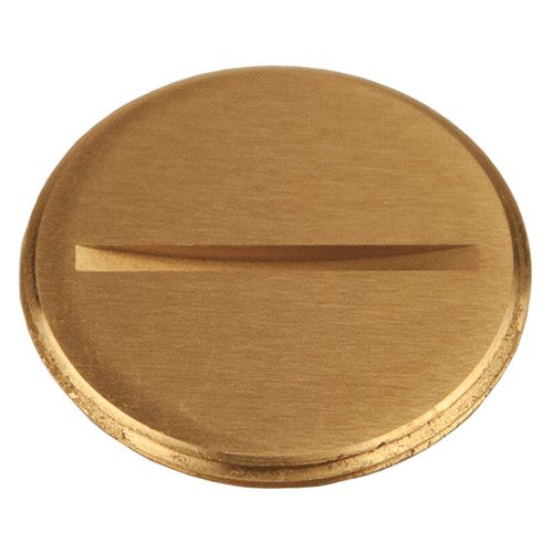 Abandon Plug, 1-1/2 in. Flush Slotted Plug, Fits RACO Covers 6284, 6288, Brass (6226)
