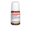 DHU Lycopodium D4 Tabletten, 80 St. Tabletten