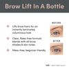 Billion Dollar Brow Lift - For Full and In Control Brows All Day Long