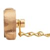 Brass Rocker Lug 1" NH Cap with Chain