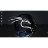 3 Linux Collection for Anonymous Privacy & Security Browsing Tails, Kali & BackBox on 16GB Multiboot USB