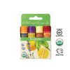 Badger Lip Balm 4 Sticks Gift Set Blue Pack