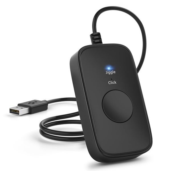 Wotbcg 2 in 1 Driver-free Mouse Mover & Auto Clicker, Black, USB, Mouse ...