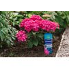 Westland Hydrangea Colourant, 500 g