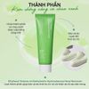 Sungboon Editor Green Tomato Pore Blurring Sunscreen SPF50+ PA++++ 50ML 
