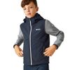 Regatta Acidity II Softshell-Bodywarmer für Jungen, blau