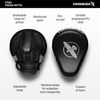 Hayabusa PTS 3 Focus Mitts Pair - Black, Standard
