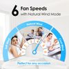 Ceiling Fan with Light (Black)