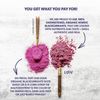 Rube Blackcurrant Powder 171g 100% Lyophilized Powder with Anthocyanin Vitamin Magnesium, 1 Pcs, Basic