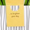 Hallmark Pop Up Card - Contemporary Spider Plant Design