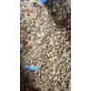 Mullein Leaf Bulk Cut Organic wild crafted Herb - 4 lbs Pounds