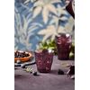 Duralex Picardy Glasses Set 250 ml Purple (4 Units)