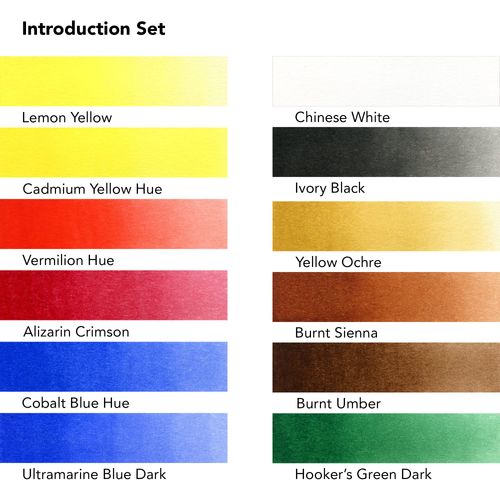 Daler-Rowney Aquafine Watercolour Introductory Paint Set, 12 x 8ml Assorted Colours, Ideal for Beginner Artists & Students