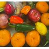 TriFlora All Natural Fire Cider Health Tonic