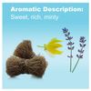 doTERRA - Peace Essential Oil Reassuring Blend - Promotes Feelings of Peace, Reassurance, and Contentment, Counteracts Negative Emotions; For Diffusion or Topical Use - 5 milliliter