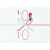 Marui Noi-N1A4 Noshi Paper Celebration Bowknot Thick A4 100 Sheets