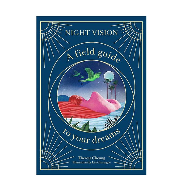 【特价】Night Vision: A Field Guide to Your Dreams 英文原版 梦境解析 生活治愈解忧书籍