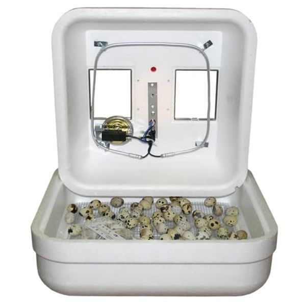 1602N Thermal Air Hova-Bator Only