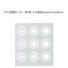 【第2類医薬品】スピール膏ワンタッチEX SPBL 12枚