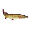 Sticker pike, Groß - Länge ca: 23cm