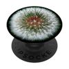 Dandelion Seeds White Flower on Green PopSockets Adhesive PopGrip