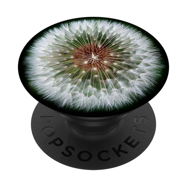 Dandelion Seeds White Flower on Green PopSockets Adhesive PopGrip