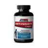 Black Walnut - Anti Parasite Complex 1485mg - Healthy Intestinal Environment 1B