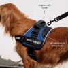 Ezydog Convert Harness, L, Burgundy