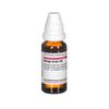 DHU Ginkgo biloba D6 Dilution, 20 ml Lösung