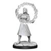 Magic: The Gathering Unpainted Miniatures: Rootha & Zimone