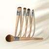 EcoTools Start The Day Beautifully Brush Set, 5 Piece Set & Storage Tin