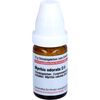 Myrrhis odorata D6 DHU Globuli, 10 g GLO