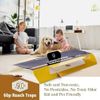 20-Pack Indoor Roach Traps - Safe Glue Cockroach Traps for Home, Kids & Pets