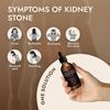 Kidney Health Support Supplement Kidney Detox Drops & Support Kidney Function