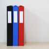 TAE Walnut File 2 Hole Ring File A4 [Set of 2] TEJI (Red)