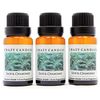 Crazy Candles Sage & Chamomile (Made in USA) 3 Bottles 1/2 Fl Oz Each (15ml) Premium Grade Scented Fragrance Oil