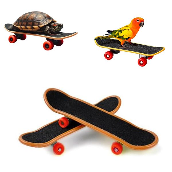 Intatikoo 2 Pcs Bird Toys Mini Skateboard Toys, Small Pets for Play and Training Toys Mini Walking Skateboards Budgies Reptiles Skateboards