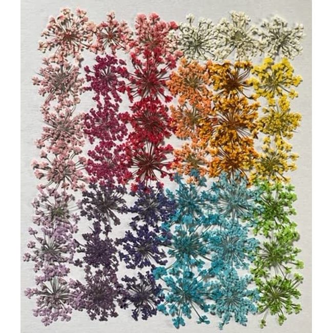 Fukusan Pressed Flower Pack, Lace Flowers, Mix (B), 42 Pieces (14 Colors x 3 Pieces), FUK-1089, Perfect for Nail Resin, Etc