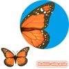 AQUEENLY Monarch Butterfly Decorations, 4.72'' Orange Premium Artificial Monarch Butterfly to Decorate for Craft, Home, Wall, Wedding, Party (12 Pcs)