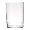 Saikaitoki 17116 Common Water Glass, Clear