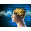 metabolism booster BRAIN & MEMORY BOOSTER Complex st johns wort capsules -2 Bot