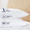 Doctor Pillow Luna Pedic Luxe Cloud 2 PACK Pillow | White.