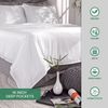 Queen Sheets by , Genuine 100% Organic Viscose Derived from Bamboo Bed Sheet Set
