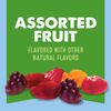 Mott's Fruit Flavored Snacks Assorted Fruit Family Pack Gluten Free Stocking