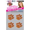 Clemson Tigers Temporary Tattoo and Fan Tailgate Bundle